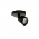 SPOT LED DIRECT BASE CIRCULAR 1X4W 6500K PRETO TASCHIBRA